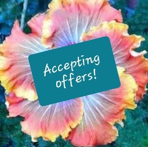 Clothes, shoes, bags.